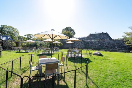 【奈良・大和郡山】豊臣秀長ゆかりの地めぐりで行きたいランチ＆カフェ７選