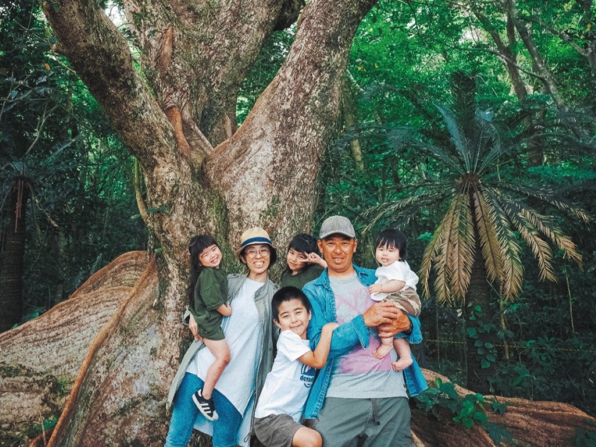 油井集落にある巨木・サキシマスオウの木を見ることもできる