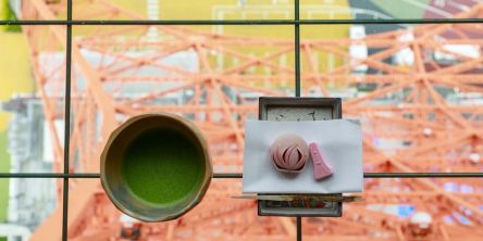 【東京タワー】天空の地で茶道体験！ 東京タワー「朝茶の湯」で朝活を