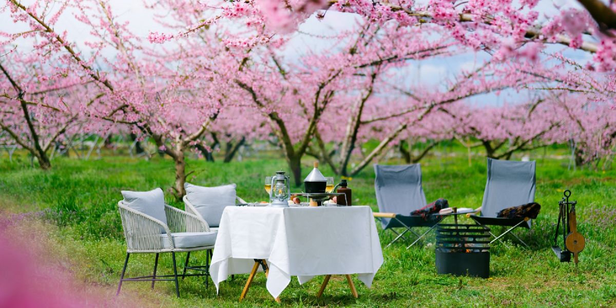 「星のや富士」に泊まって貸切お花見を満喫！ 3月20日～4月10日だけのお楽しみ「桃源郷グランピングランチ」