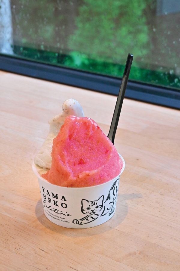 山里のジェラテリア 山猫