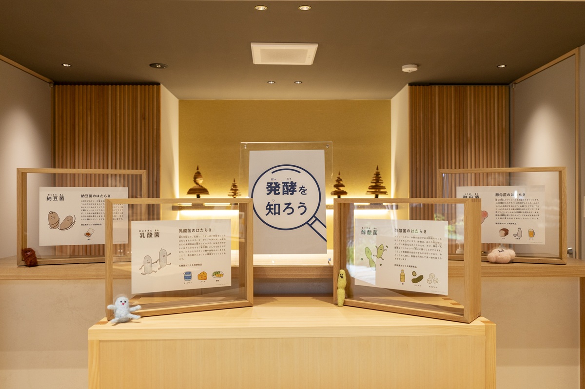 木升を模した家具が配された温かみのある空間