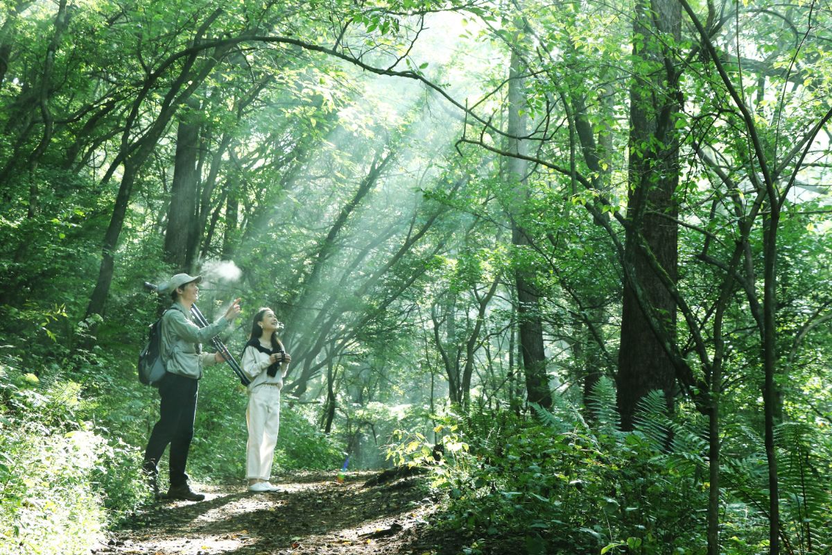 野鳥の森 ネイチャーウォッチング