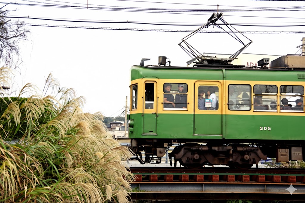 秋はススキとのコラボも見られる