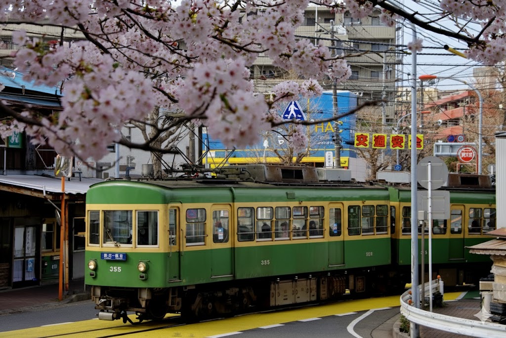 鉄道が道路上を走る併用軌道なのもポイント
