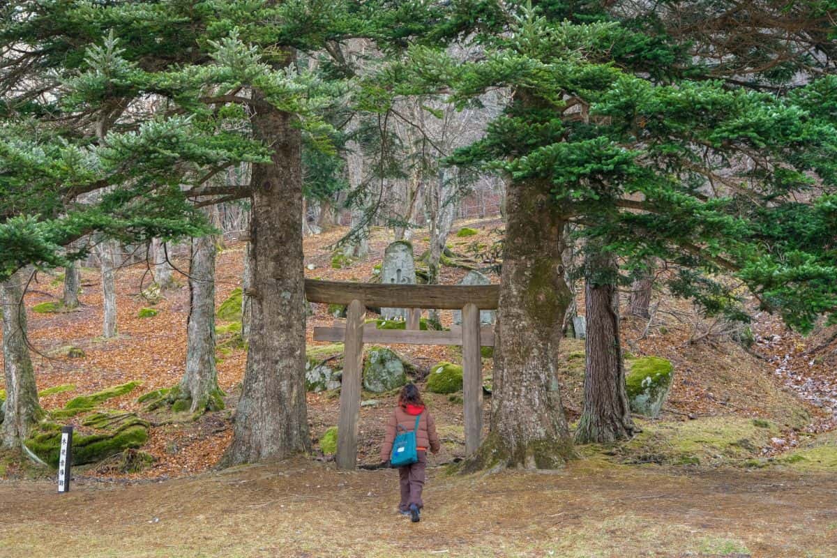 「橋野鉄鉱山」