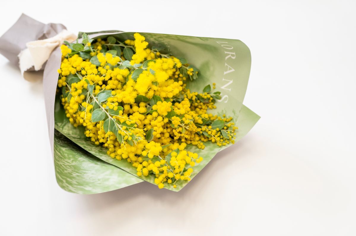 ミモザの花束