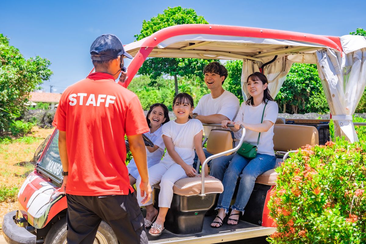 数人が乗れるサイズのカート