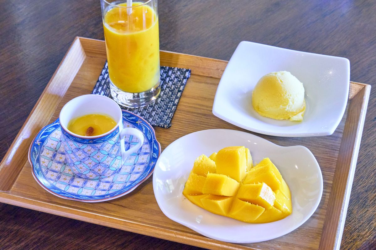 「go-go- マンゴー」2400円〜