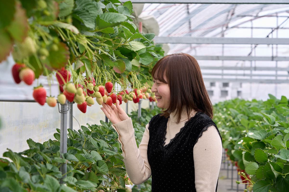 モデルといちご