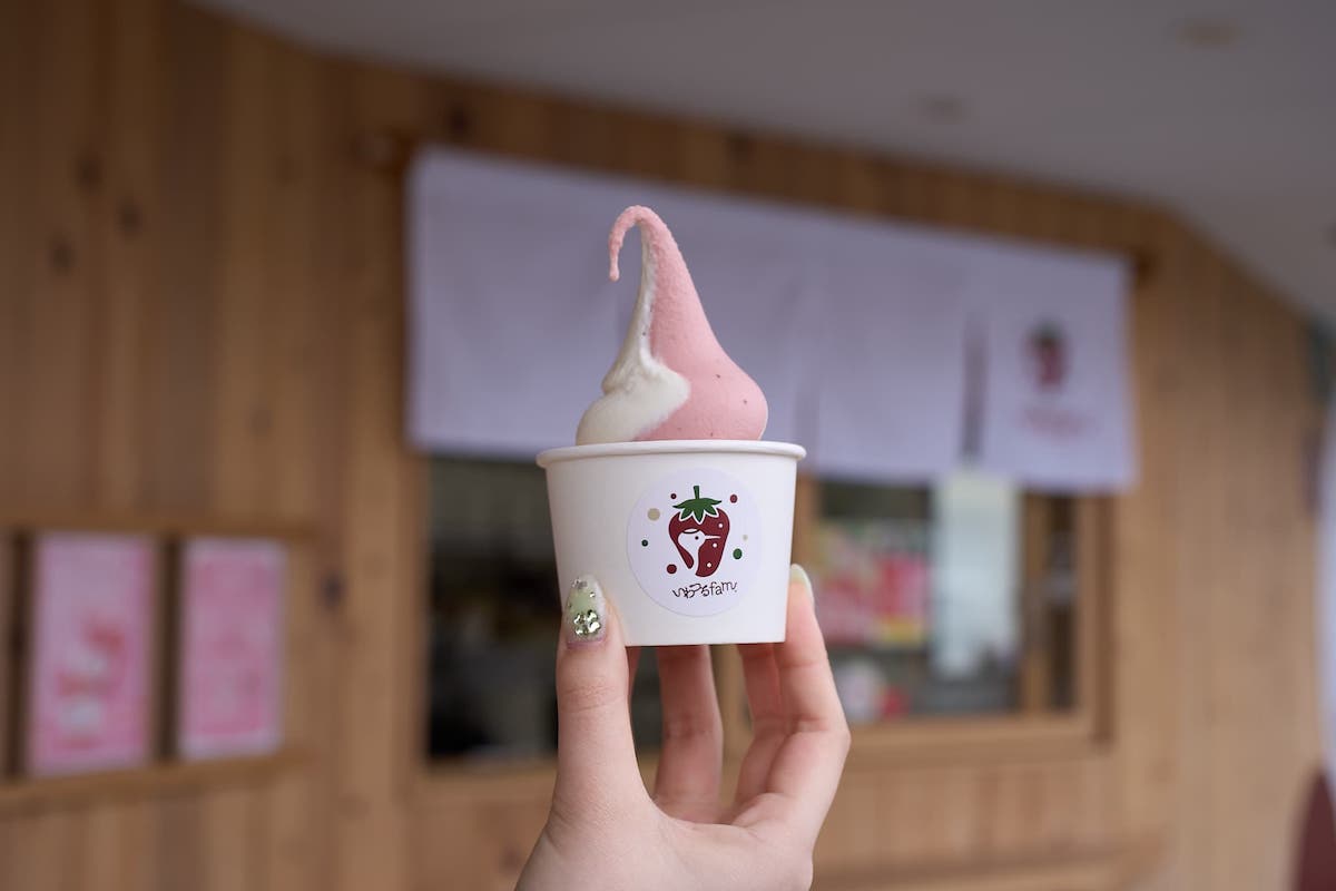 ぼてもこソフト