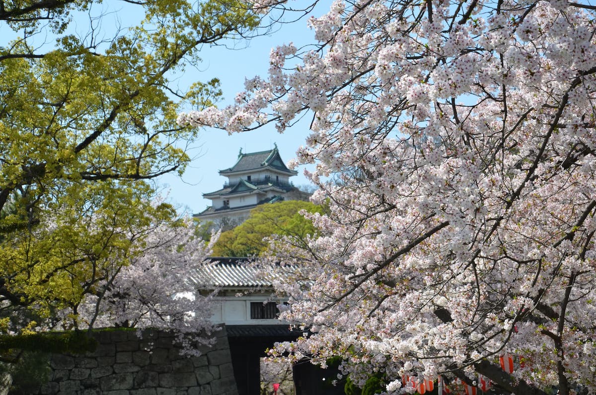 花見スポット（支給予定）