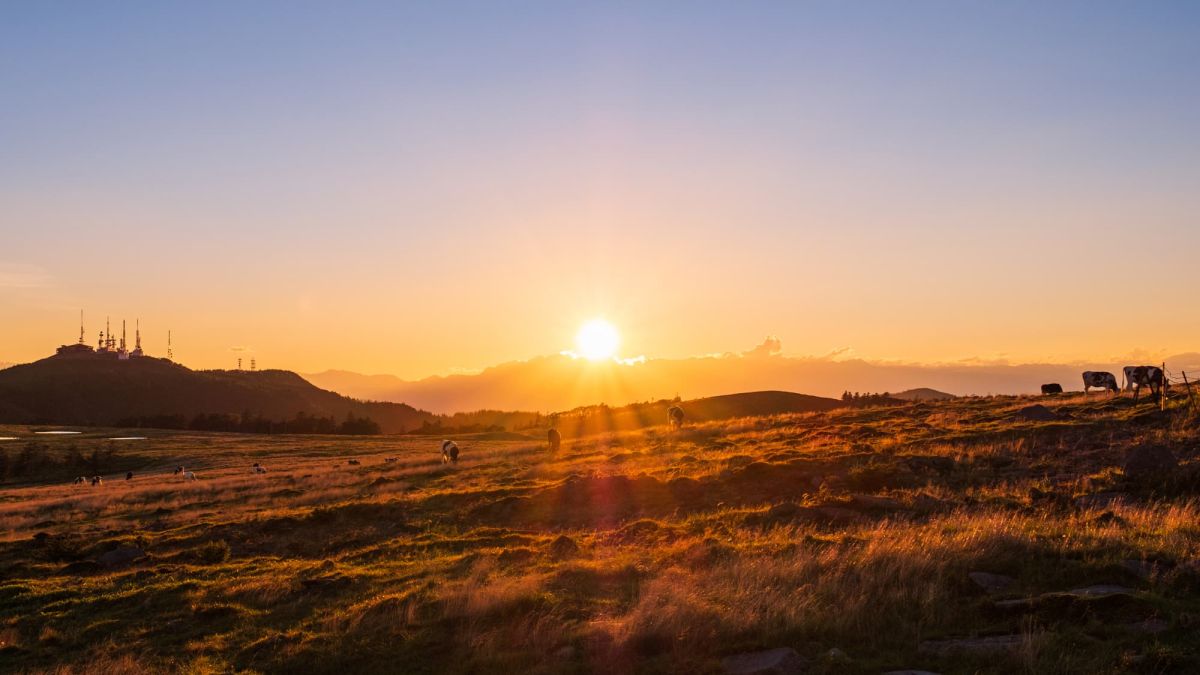 長野県でおすすめの紅葉名所～見頃やライトアップなどの2025年情報～