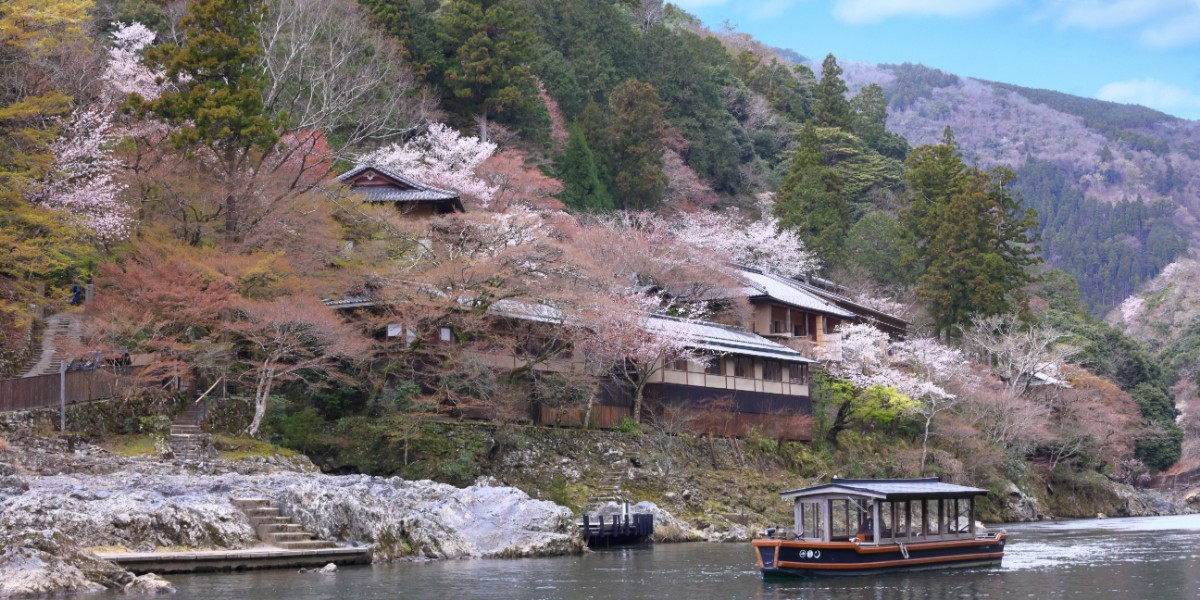 「星のや京都」桜の移ろいを楽しむ雅な春のアクティビティ