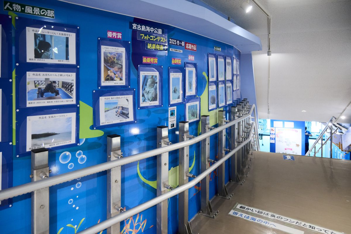 館内のパネル展示
