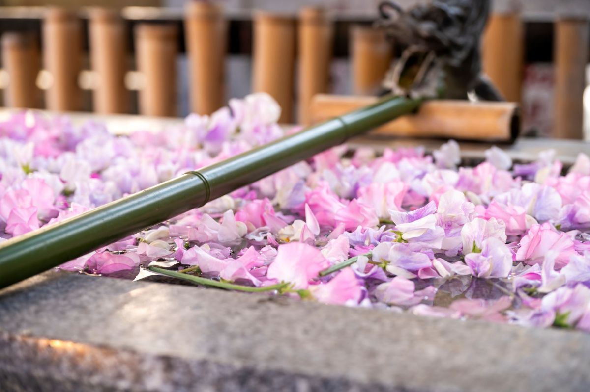 鮮やかな花手水が目を惹く