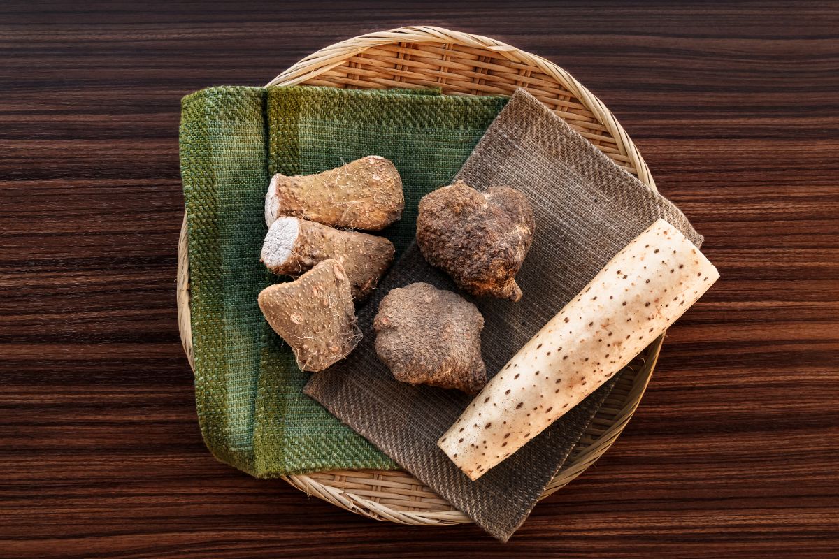 つくねいも、大和芋、長芋