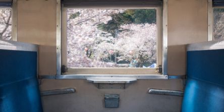 乗り物から桜名所のお花見を！SL、遊覧船、馬車など（2026年版）
