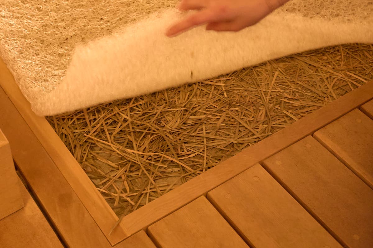 伊豆半島南西端・牛原山麓の伊那下神社で育った石菖を使用