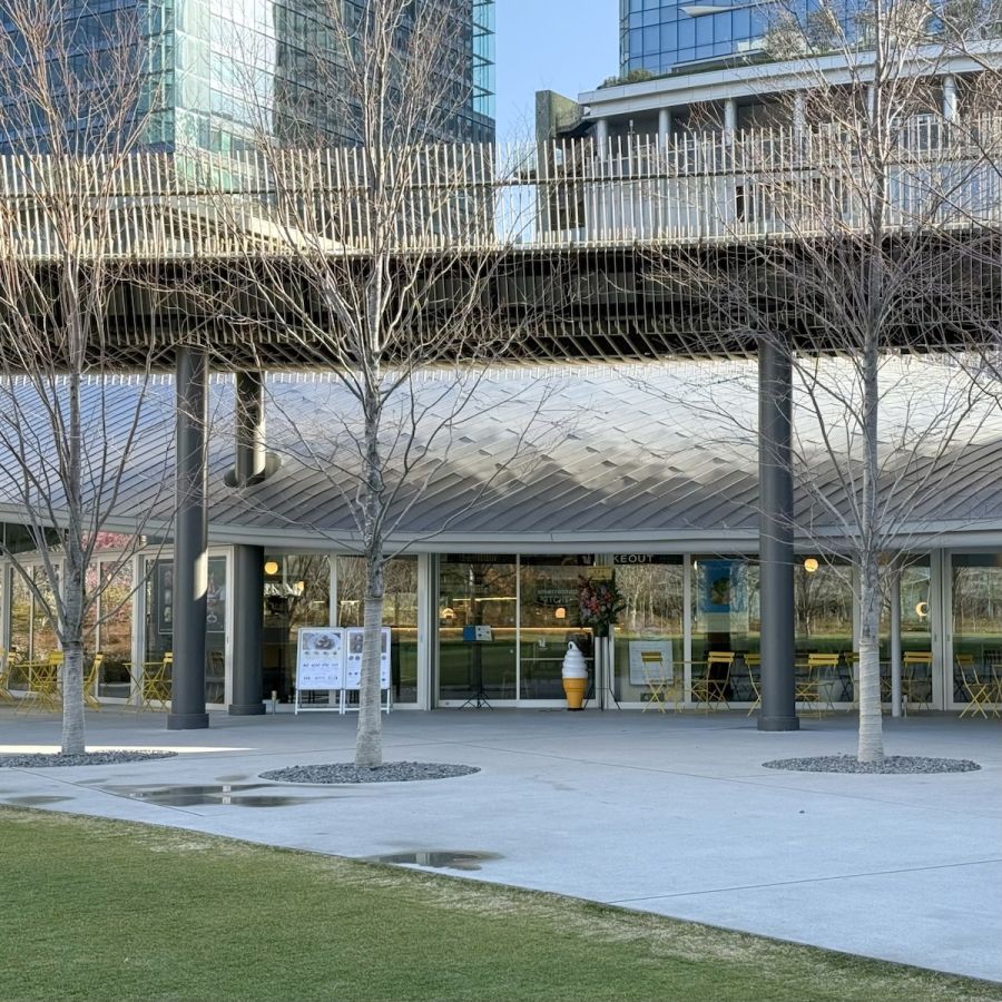 歴史ある図書館から大阪の最新スポットへ移転。目の前には緑が広がります