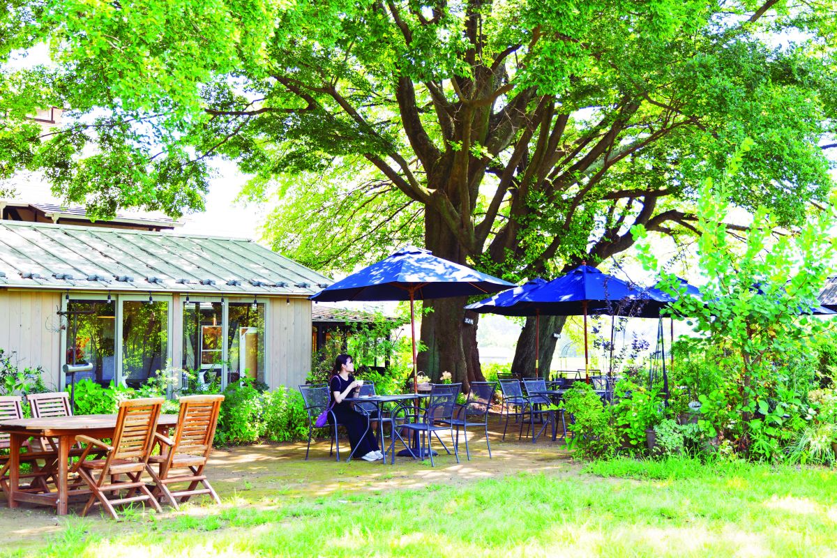 【埼玉】緑あふれるカフェ・レストラン