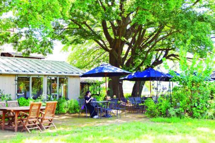 るるぶ&more.人気記事ランキングTOP10【2026年2月1日～2月28日】