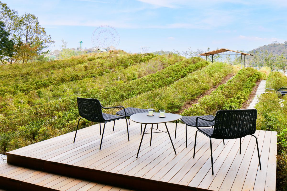 テラスからの眺め