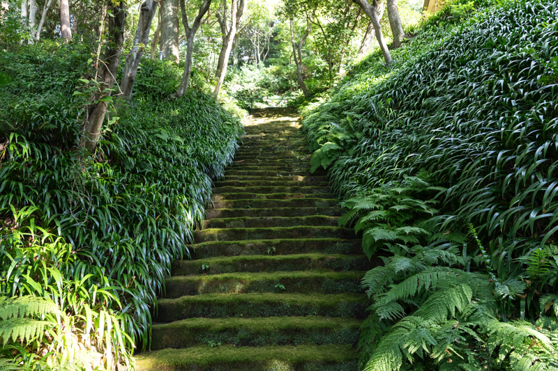 妙法寺の石段