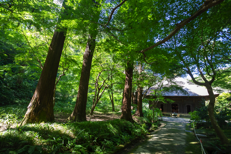 覚園寺の本堂・薬師堂