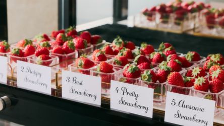 【京都センチュリーホテル】ガーデンを望む上質な空間で開催！ ストロベリースイーツビュッフェ「The Royal Lounge STRAWBERRY （ザ ロイヤル ラウンジ ストロベリー）」