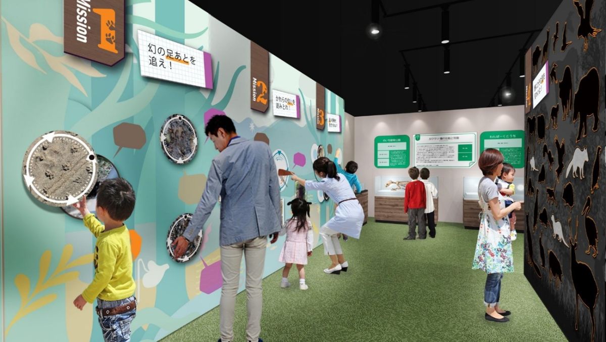 展示エリアイメージ