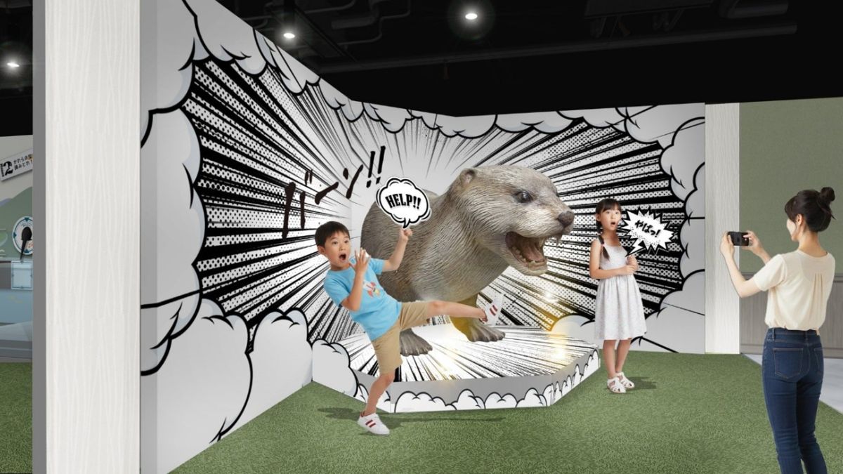 展示エリアイメージ