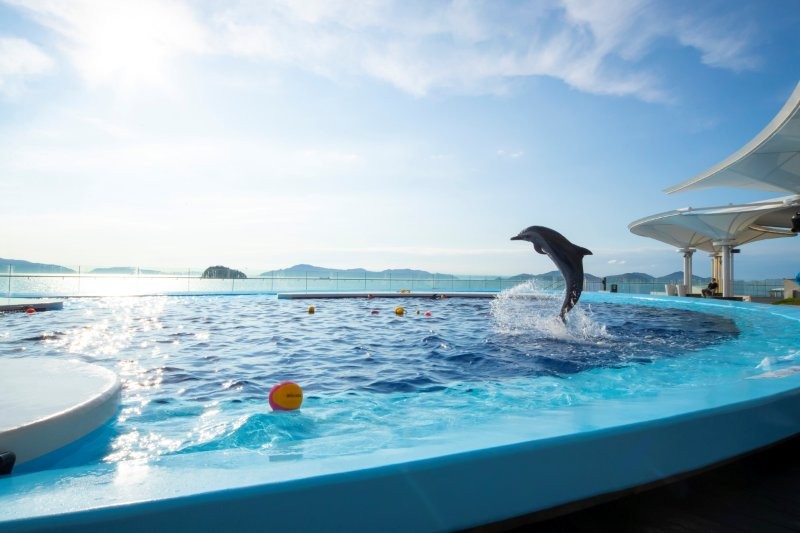 海豚（イルカ）プール