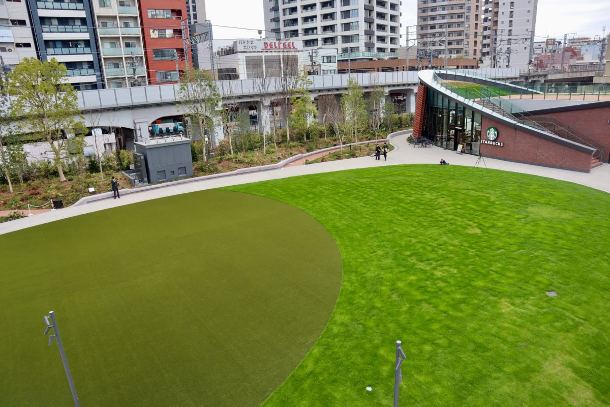 人工芝の様子