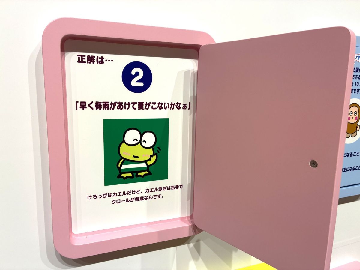 早く梅雨があけて夏がこないかな