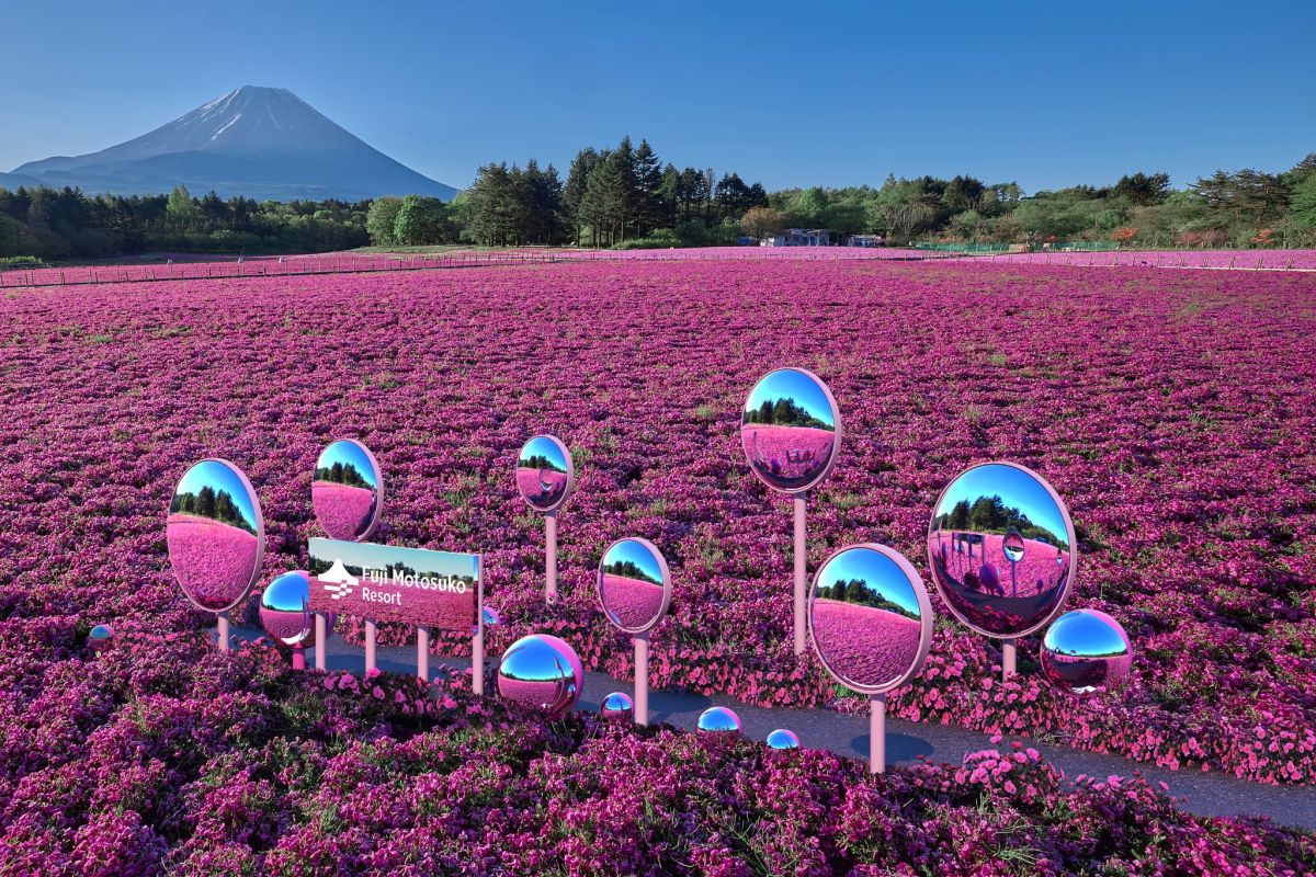 「きらめく花雫ミラー」