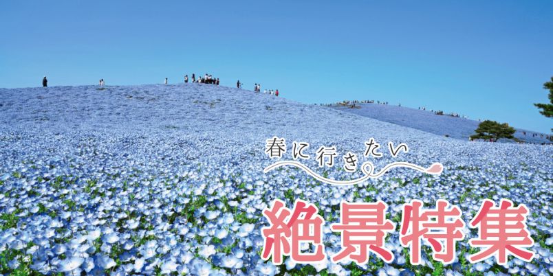 自然に癒やされ、夜景にときめく。春に行きたい絶景特集