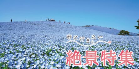 自然に癒やされ、夜景にときめく。春に行きたい絶景特集