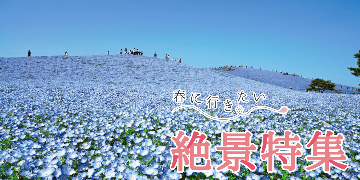 自然に癒やされ、夜景にときめく。春に行きたい絶景特集