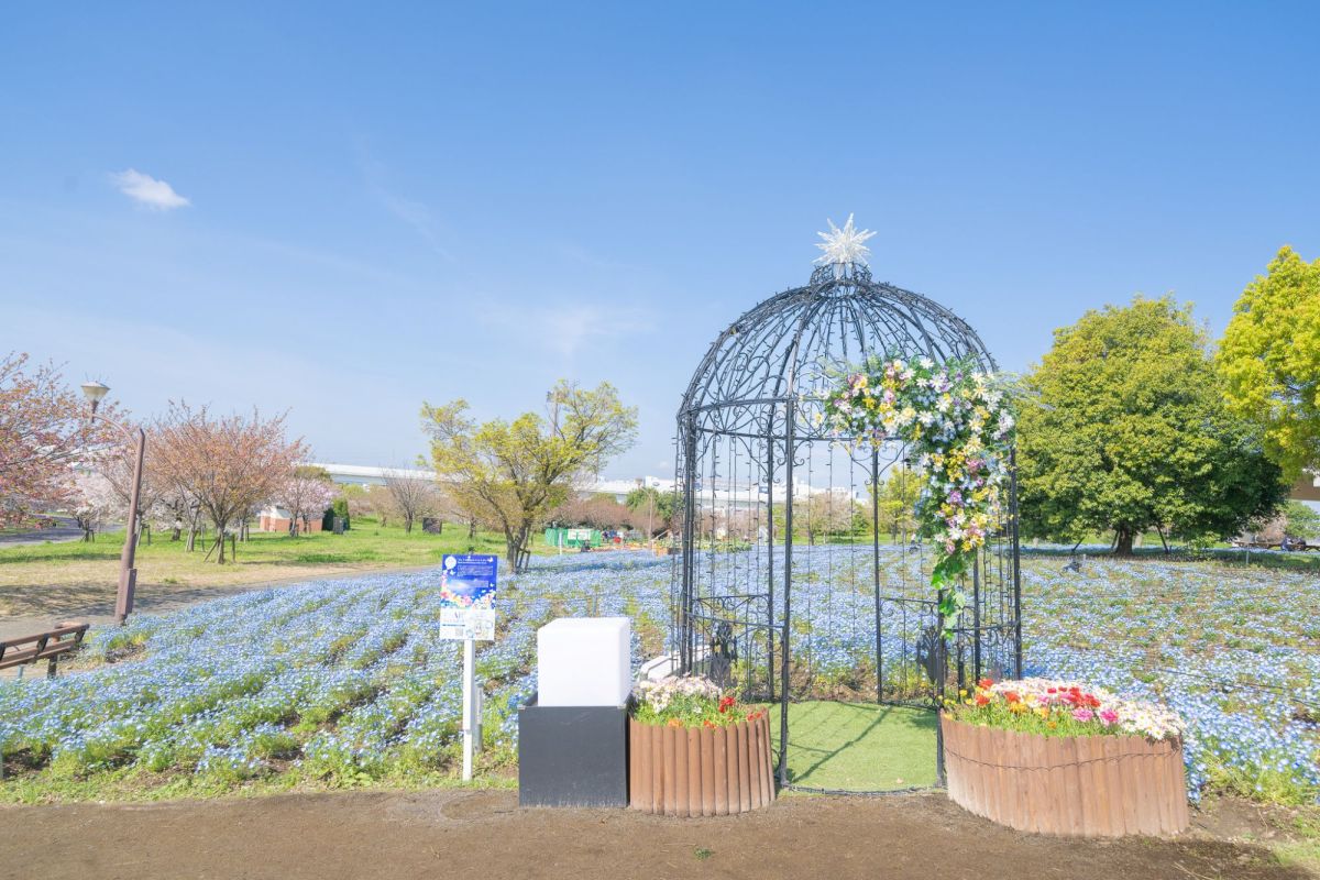 ネモフィラの青いじゅうたんを背景に、春の花々とともに特別な一枚を撮影できるドームパーゴラ型の撮影スポットです