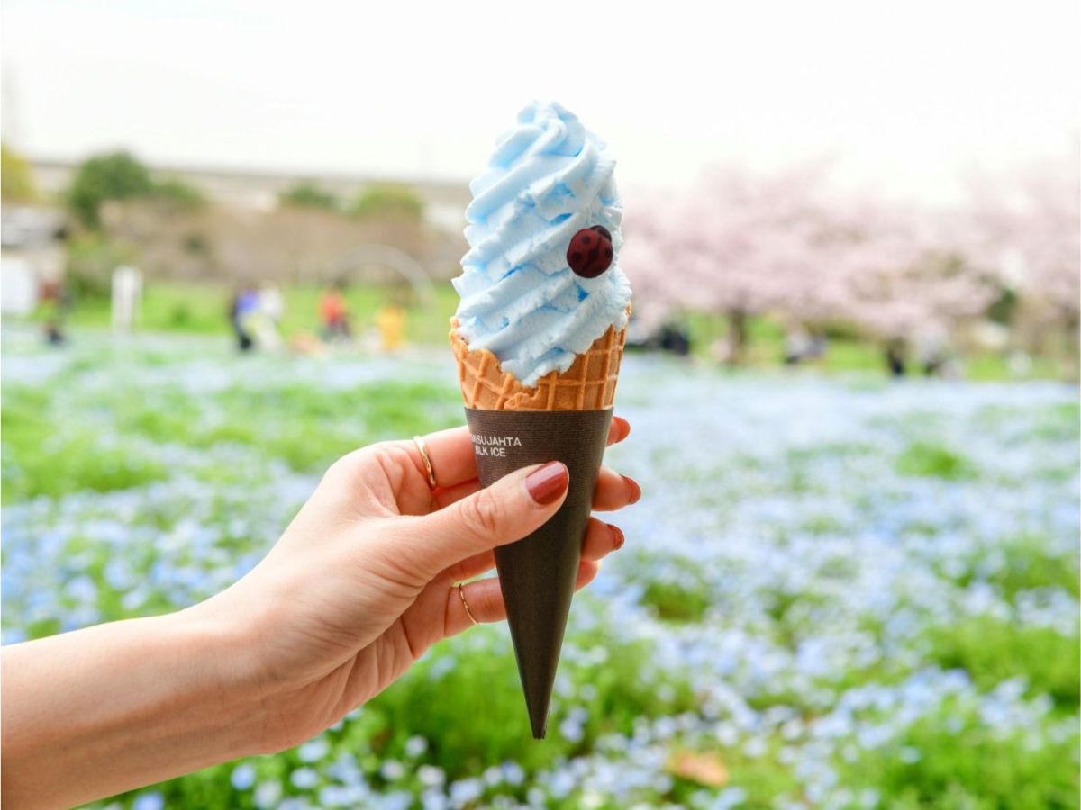 ネモフィラソフト  価格：500円（税込）  ネモフィラを模した鮮やかなブルーのソフトクリーム（ソーダ味）。テントウムシの形をしたチョコレートを添えました。