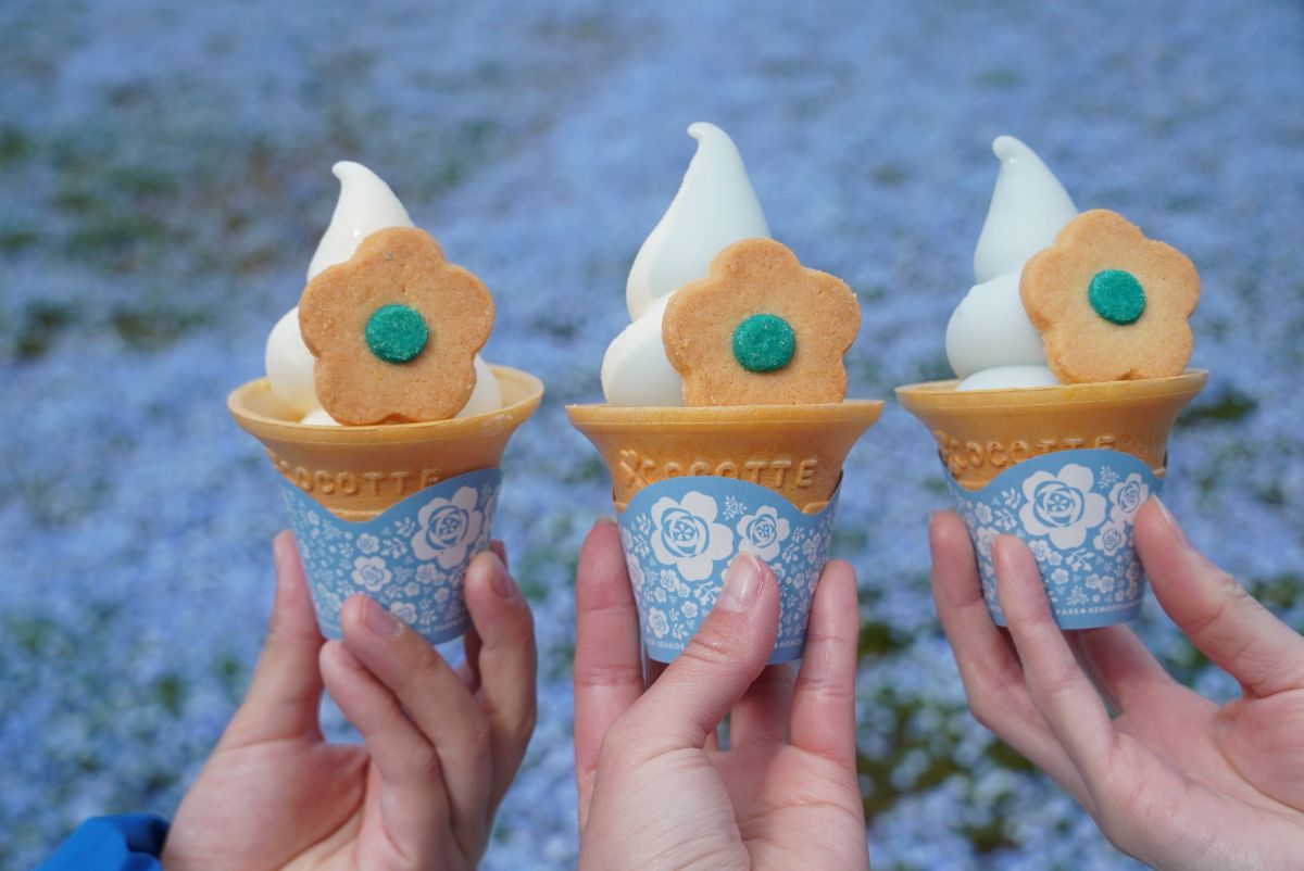 「ネモフィラブルーソフト」各550円