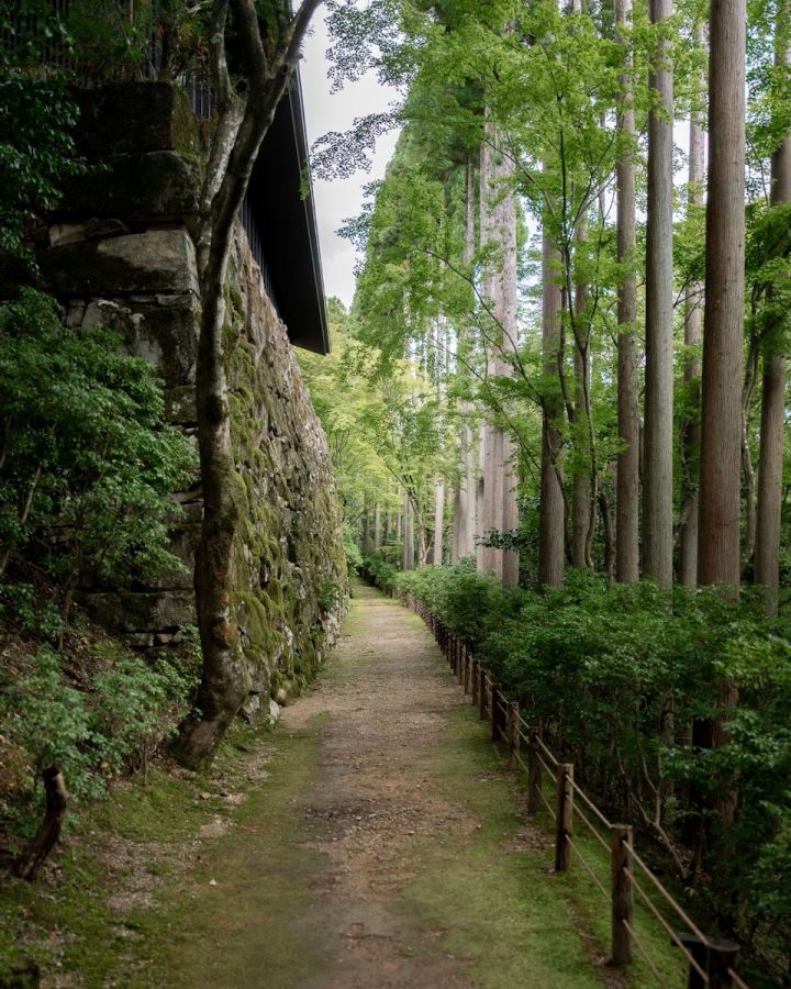 「アマン京都」敷地内の森