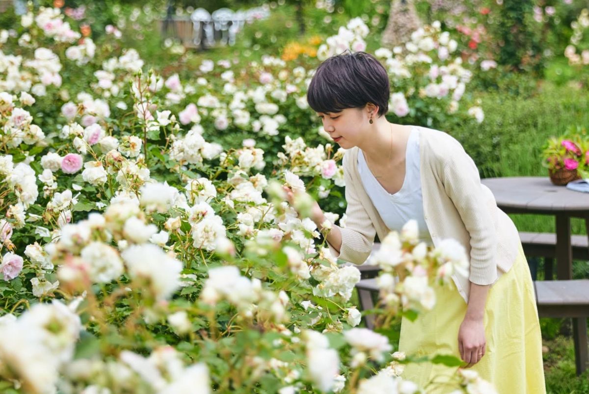 春バラフェア～バラに囲まれる時間