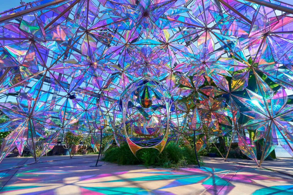 光とバラのインスタレーション