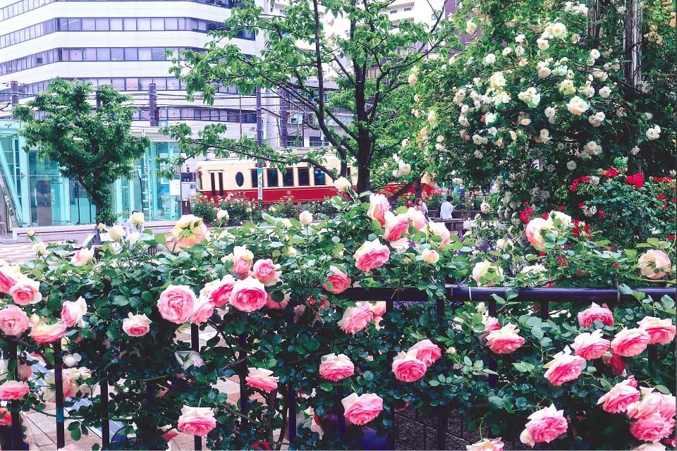 第25回大塚バラまつり