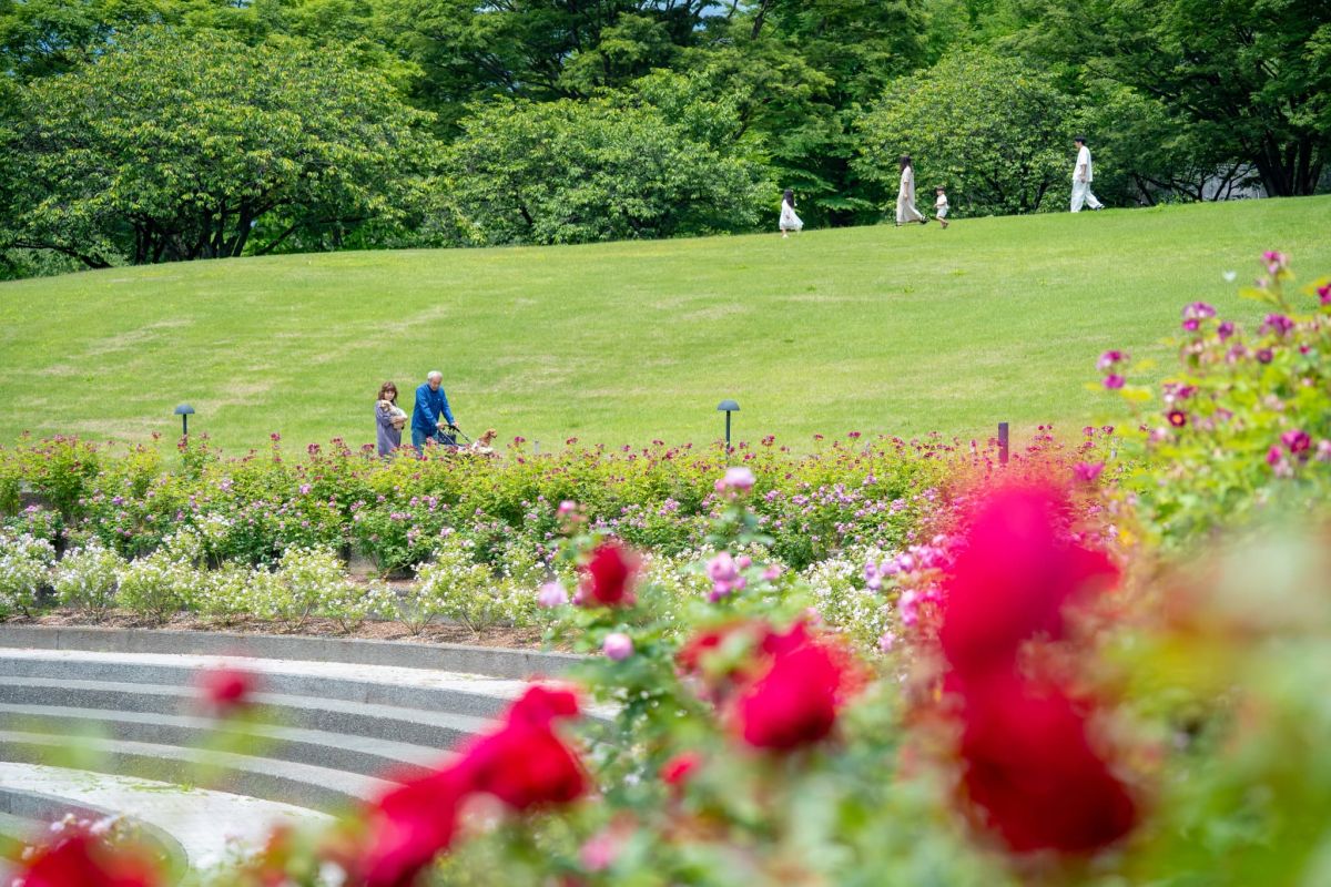 Gunma Flower Park＋