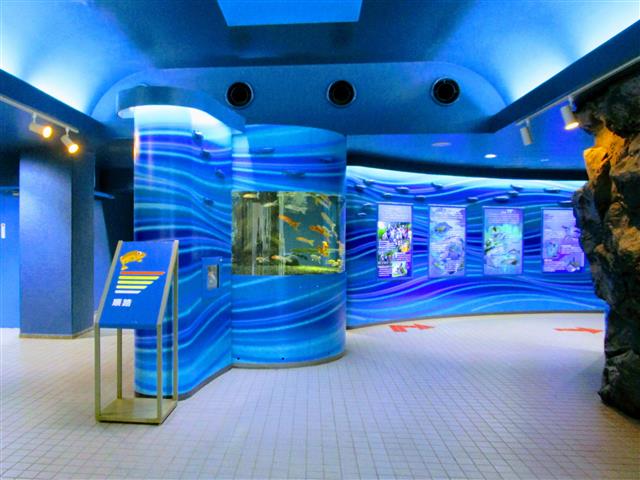 さいたま水族館エントランス1