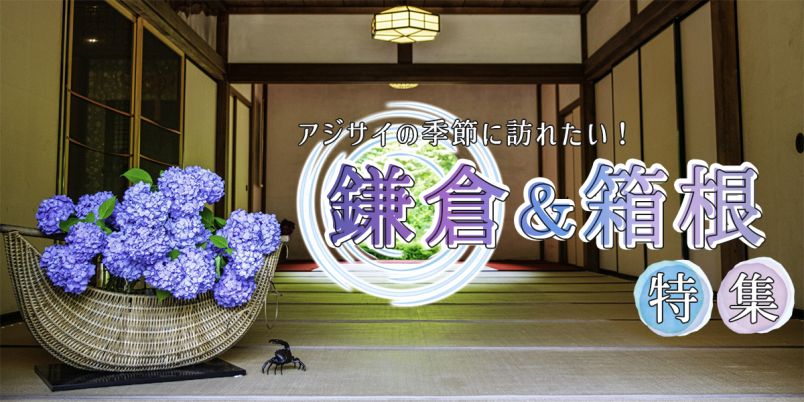 アジサイの季節に訪れたい！鎌倉＆箱根特集