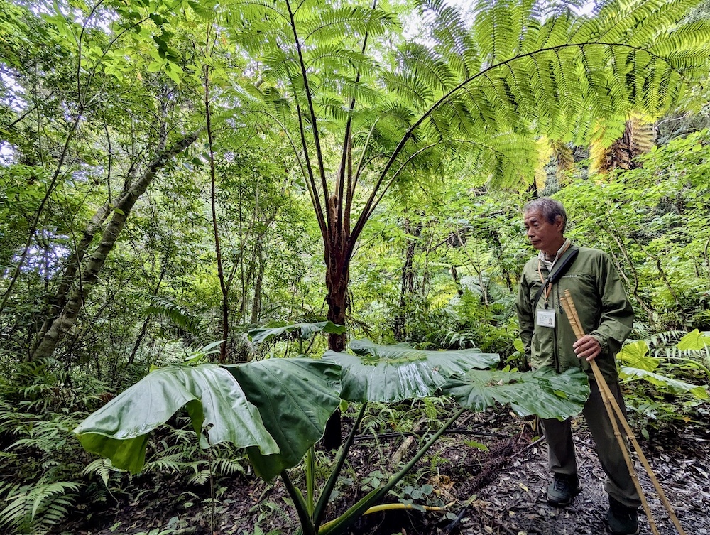 世界自然遺産の森を傷つけないよう注意深く歩きます